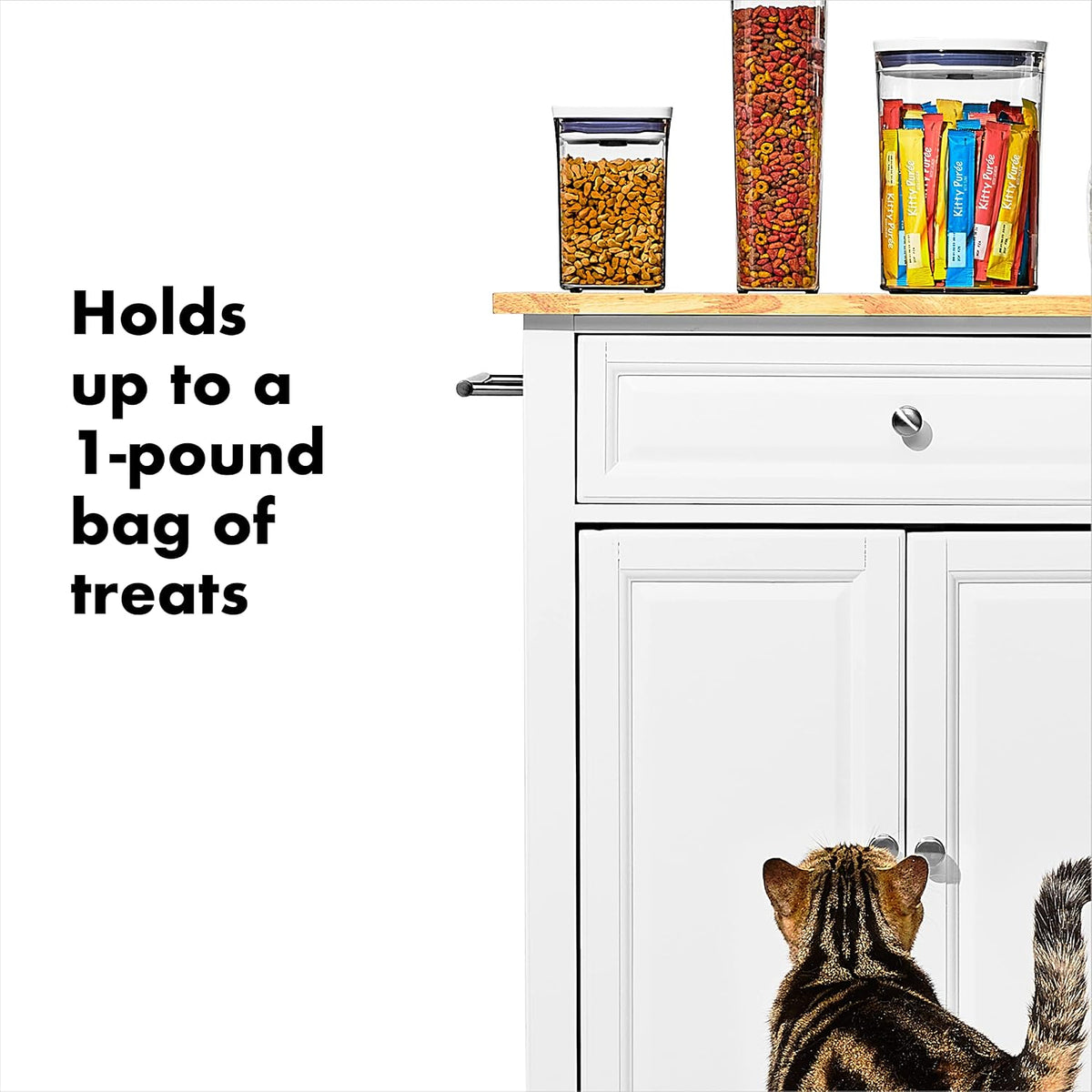 Good Grips Pet POP Container – 6.0 Qt/5.7 L with Half Scoop, Ideal for up to 6.5lbs of Dog Food or 4.5lbs of Cat Food, Airtight Dog and Cat Food Storage Container, BPA Free, Clear