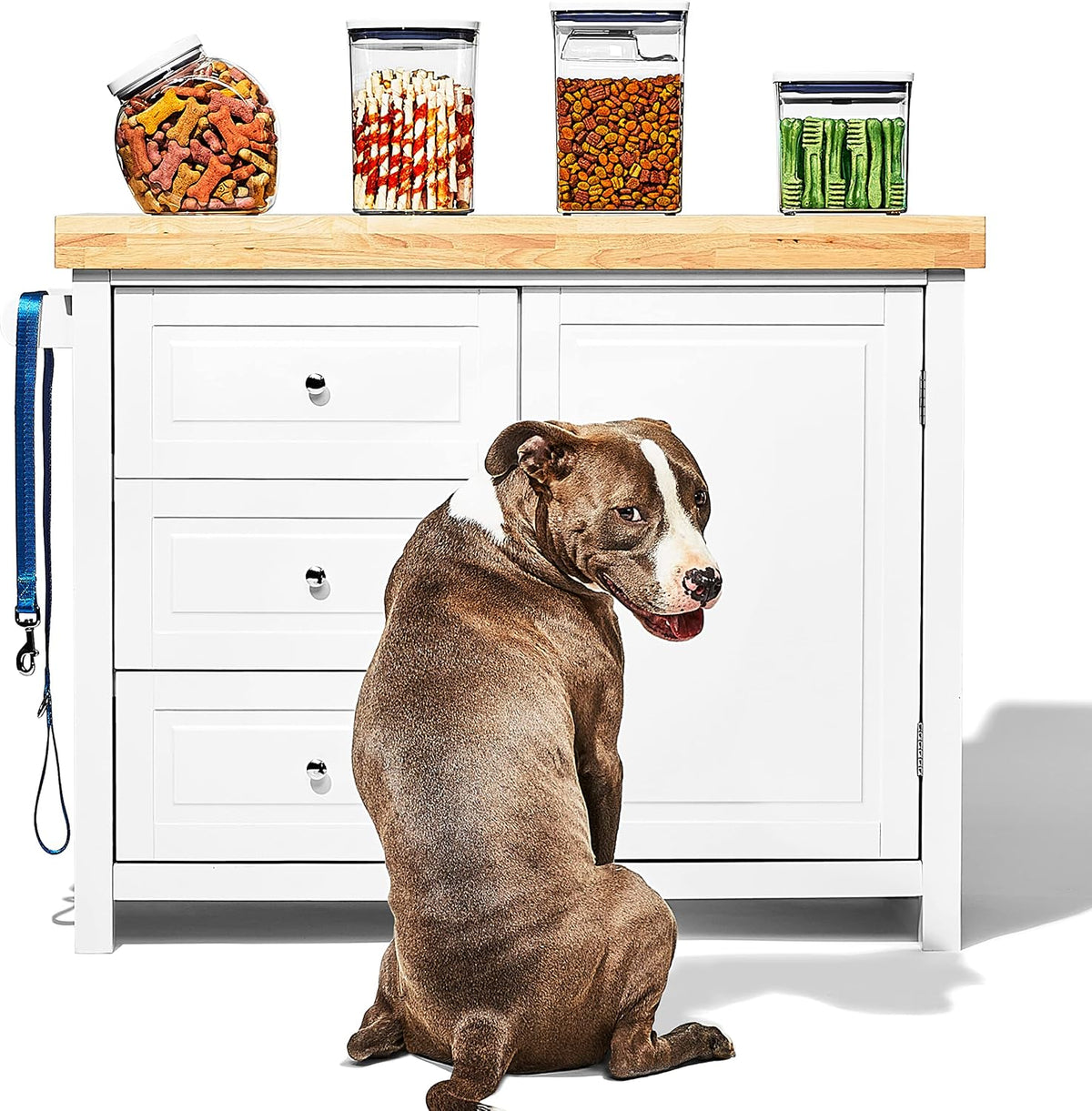 Good Grips Pet POP Container – 6.0 Qt/5.7 L with Half Scoop, Ideal for up to 6.5lbs of Dog Food or 4.5lbs of Cat Food, Airtight Dog and Cat Food Storage Container, BPA Free, Clear