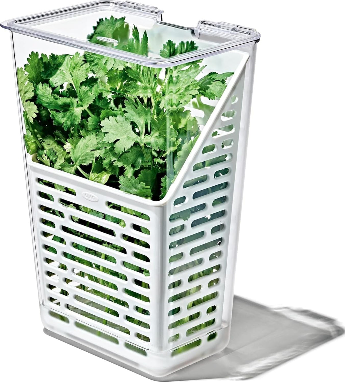 Good Grips Produce Saver - Berry Keeper, 2-Piece Set | Fruit Storage Containers, Ventilated Storage for Rinsing and Storing Berries, Cherry Tomatoes, Keeps Berries Fresh Longer