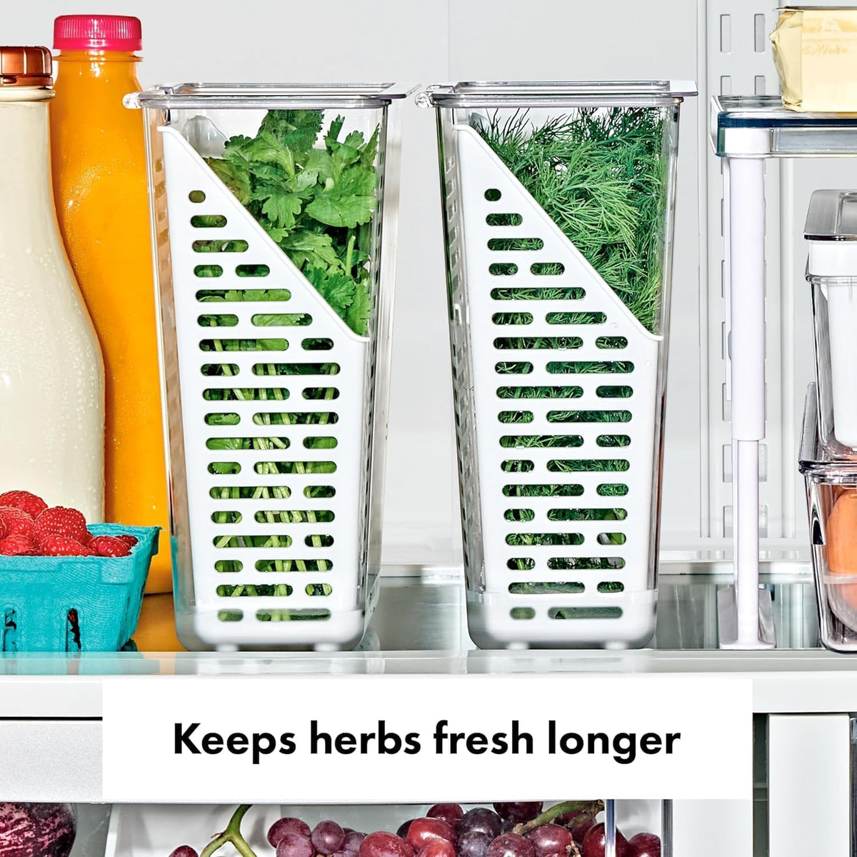 Good Grips Produce Saver - Berry Keeper, 2-Piece Set | Fruit Storage Containers, Ventilated Storage for Rinsing and Storing Berries, Cherry Tomatoes, Keeps Berries Fresh Longer