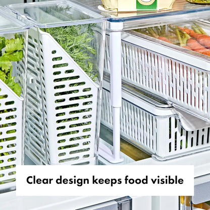Good Grips Produce Saver - Berry Keeper, 2-Piece Set | Fruit Storage Containers, Ventilated Storage for Rinsing and Storing Berries, Cherry Tomatoes, Keeps Berries Fresh Longer