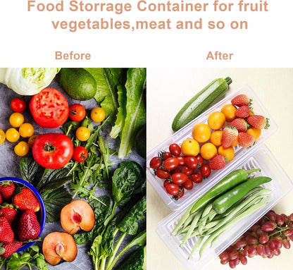 Food Storage Container, Plastic Food Containers with Removable Drain Plate and Lid, Stackable Portable Freezer Storage Containers - Tray to Keep Fruits, Vegetables, Meat and More (4,Large)