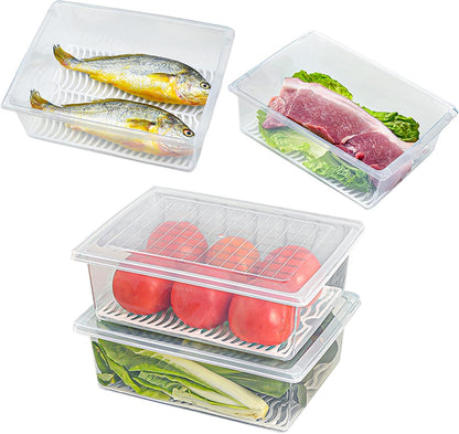 Food Storage Container, Plastic Food Containers with Removable Drain Plate and Lid, Stackable Portable Freezer Storage Containers - Tray to Keep Fruits, Vegetables, Meat and More (4,Large)