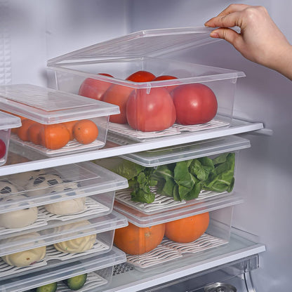 Food Storage Container, Plastic Food Containers with Removable Drain Plate and Lid, Stackable Portable Freezer Storage Containers - Tray to Keep Fruits, Vegetables, Meat and More (4,Large)