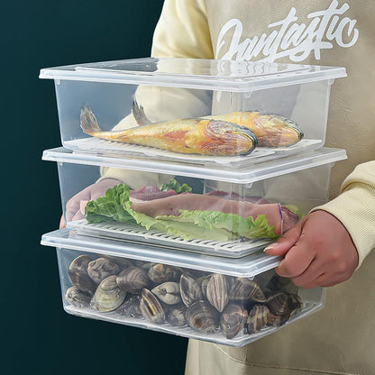 Food Storage Container, Plastic Food Containers with Removable Drain Plate and Lid, Stackable Portable Freezer Storage Containers - Tray to Keep Fruits, Vegetables, Meat and More (4,Large)