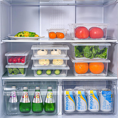 Food Storage Container, Plastic Food Containers with Removable Drain Plate and Lid, Stackable Portable Freezer Storage Containers - Tray to Keep Fruits, Vegetables, Meat and More (4,Large)