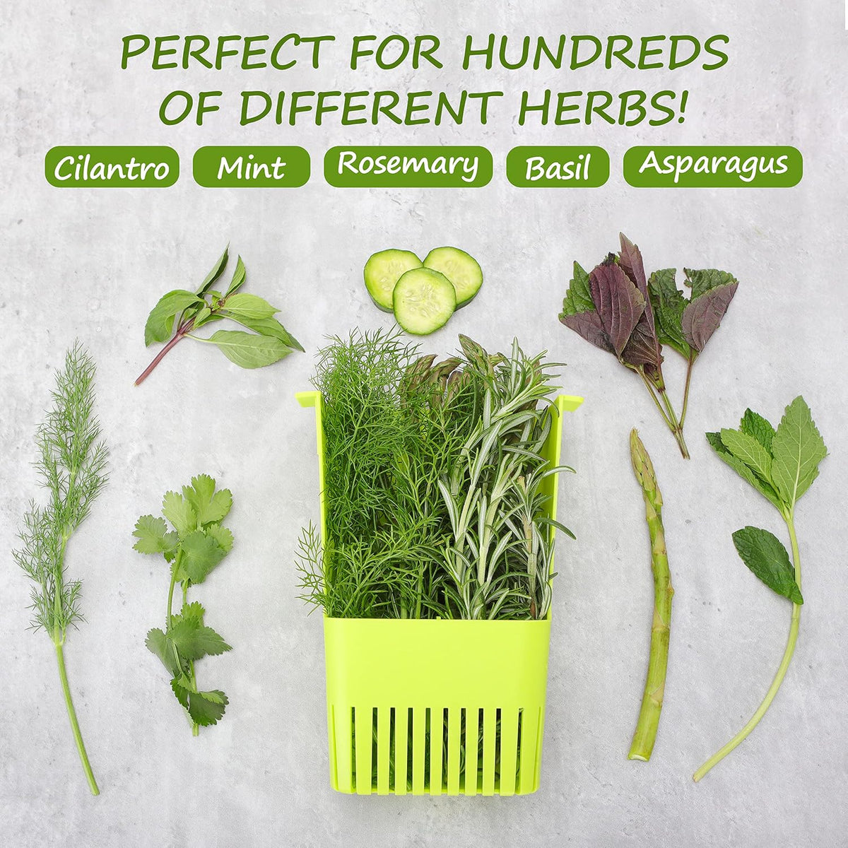 Fresh Herb Keeper for Refrigerator, Clear BPA-Free Herb Saver, Storage Container for Cilantro, Parsley, Thyme, Mint & Asparagus, Preserver Keeps Fresh Herbs for 3 Times Longer