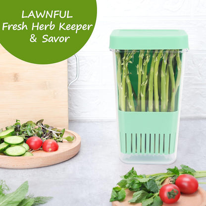 Fresh Herb Keeper for Refrigerator, Clear BPA-Free Herb Saver, Storage Container for Cilantro, Parsley, Thyme, Mint & Asparagus, Preserver Keeps Fresh Herbs for 3 Times Longer