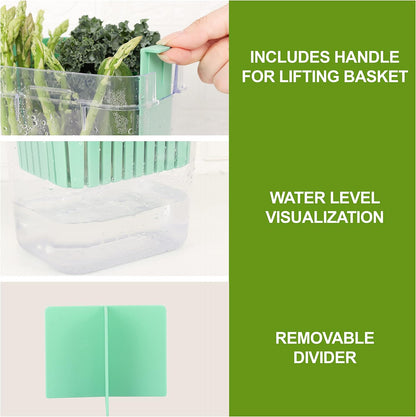 Fresh Herb Keeper for Refrigerator, Clear BPA-Free Herb Saver, Storage Container for Cilantro, Parsley, Thyme, Mint & Asparagus, Preserver Keeps Fresh Herbs for 3 Times Longer