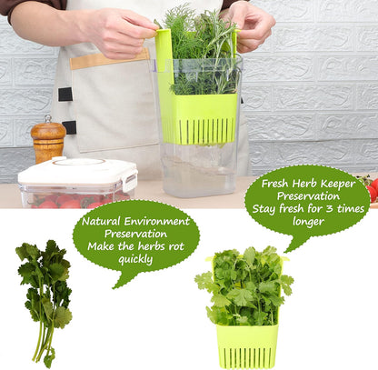 Fresh Herb Keeper for Refrigerator, Clear BPA-Free Herb Saver, Storage Container for Cilantro, Parsley, Thyme, Mint & Asparagus, Preserver Keeps Fresh Herbs for 3 Times Longer