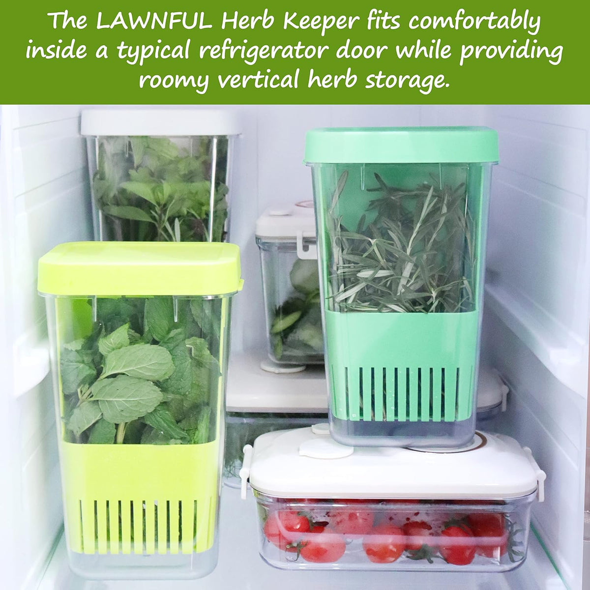 Fresh Herb Keeper for Refrigerator, Clear BPA-Free Herb Saver, Storage Container for Cilantro, Parsley, Thyme, Mint & Asparagus, Preserver Keeps Fresh Herbs for 3 Times Longer