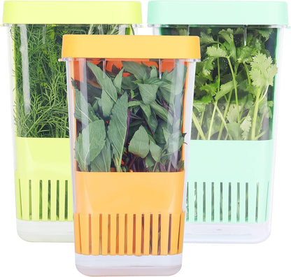 Fresh Herb Keeper for Refrigerator, Clear BPA-Free Herb Saver, Storage Container for Cilantro, Parsley, Thyme, Mint & Asparagus, Preserver Keeps Fresh Herbs for 3 Times Longer
