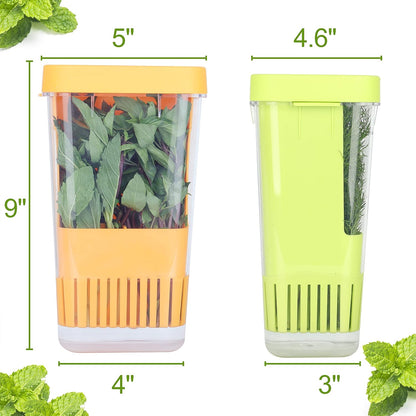 Fresh Herb Keeper for Refrigerator, Clear BPA-Free Herb Saver, Storage Container for Cilantro, Parsley, Thyme, Mint & Asparagus, Preserver Keeps Fresh Herbs for 3 Times Longer