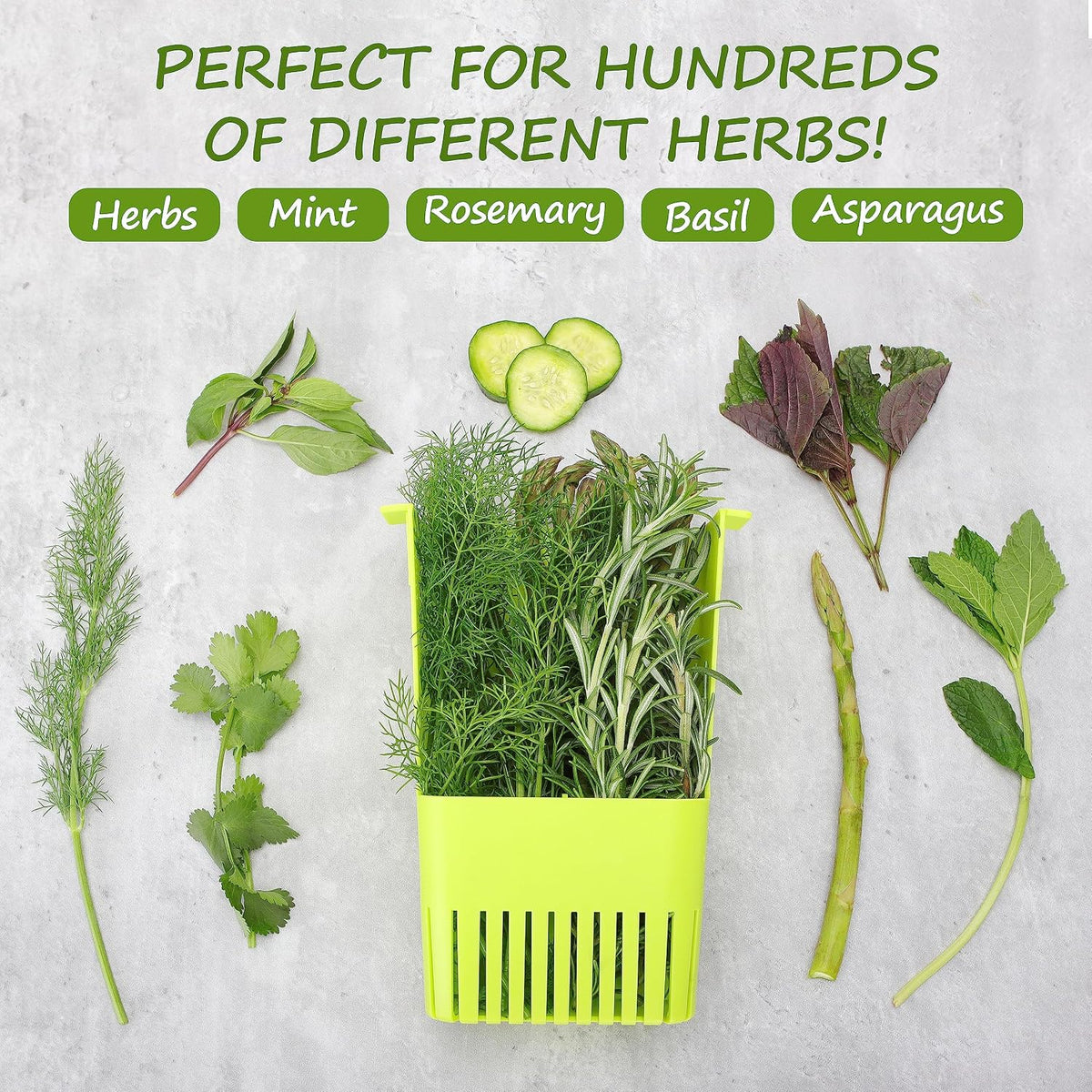 Fresh Herb Keeper for Refrigerator, Clear BPA-Free Herb Saver, Storage Container for Cilantro, Parsley, Thyme, Mint & Asparagus, Preserver Keeps Fresh Herbs for 3 Times Longer
