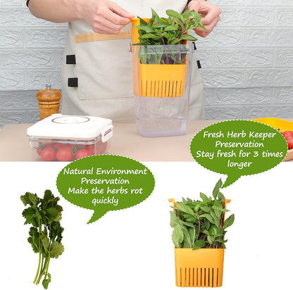 Fresh Herb Keeper for Refrigerator, Clear BPA-Free Herb Saver, Storage Container for Cilantro, Parsley, Thyme, Mint & Asparagus, Preserver Keeps Fresh Herbs for 3 Times Longer