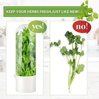 Herb Keeper for Refrigerator with Herb Peeler - Herbs Saver & Vegetable Preservation Container, Extends Freshness Up to 2-3 Weeks for Cilantro, Basil, Parsley, Mint & Greens