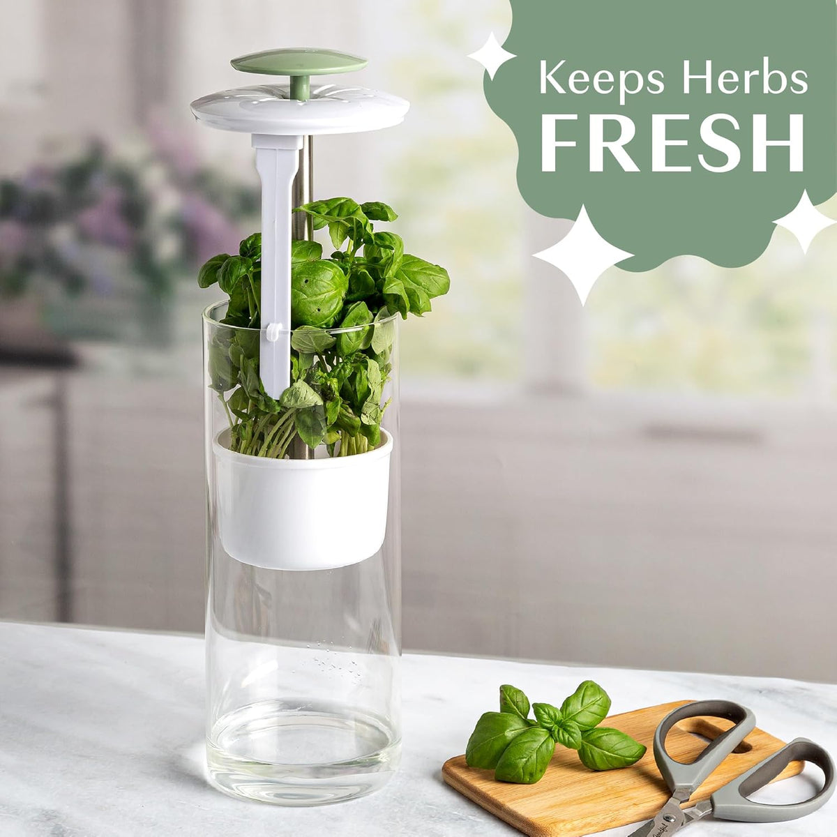 Herb Keeper Preserver, Designed for Optimum Breathable Airflow for Maximum Freshness, Water Line Ensures the Use of the Right Amount of Water, Stores in your Refrigerator