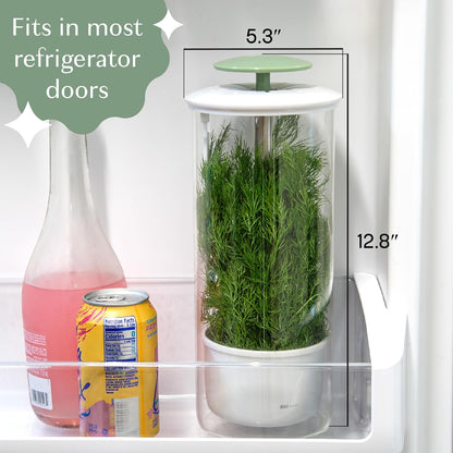 Herb Keeper Preserver, Designed for Optimum Breathable Airflow for Maximum Freshness, Water Line Ensures the Use of the Right Amount of Water, Stores in your Refrigerator