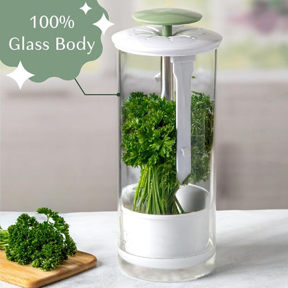 Herb Keeper Preserver, Designed for Optimum Breathable Airflow for Maximum Freshness, Water Line Ensures the Use of the Right Amount of Water, Stores in your Refrigerator