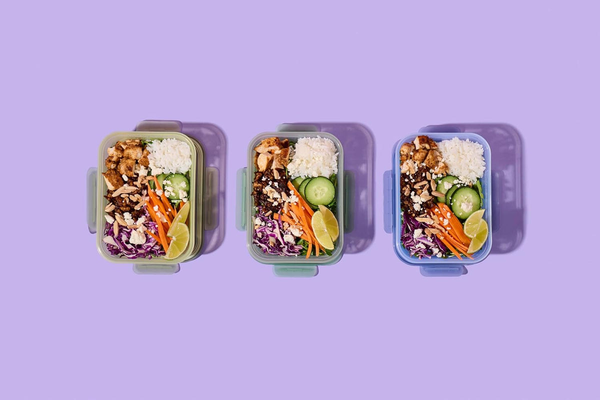 Snap & Nest 4.5 Cup Plastic Meal Prep Set, 10 Piece, Cactus Blooms