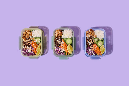 Snap & Nest 4.5 Cup Plastic Meal Prep Set, 10 Piece, Cactus Blooms