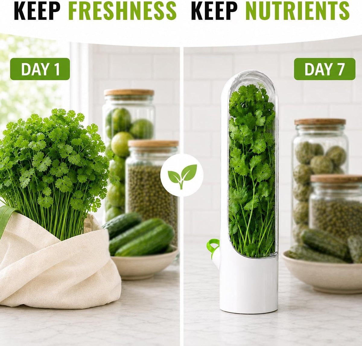 3 Pack Herb Keeper for Fridge with Water Reservoir, 2.65 x 9.65 in | 3 slim herb pods; clear covers; water reservoirs; fits cilantro, parsley, mint, rosemary and green onions; 2.65 x 9.65 in