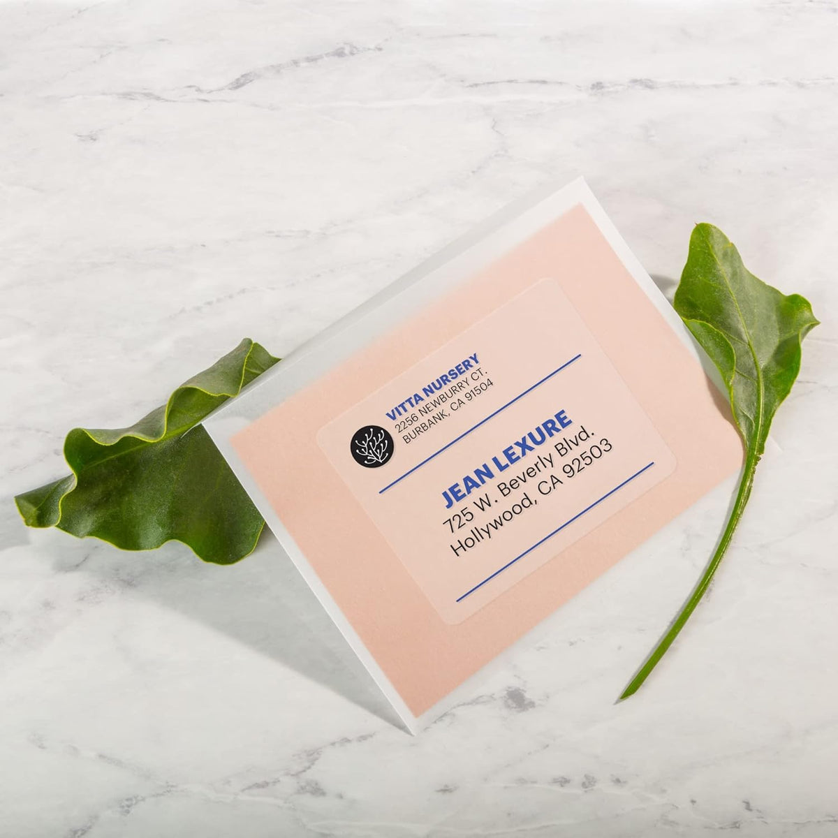 Printable Shipping Labels with Sure Feed, 2" x 4" Customizable Stickers, Matte Clear, 250 Blank Mailing Labels, Great for Mailing, Shipping, and More (8663)