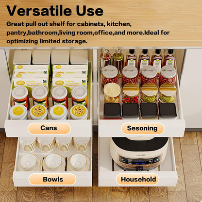 2 Pack Pull Out Cabinet Organizer Adhesive, 10" Wide 16.9" Deep Pull out Drawers for Face Frame or Frameless Cabinets, No Drill Heavy Duty Carbon Steel Drawer, Pantry Cabinet Shelf