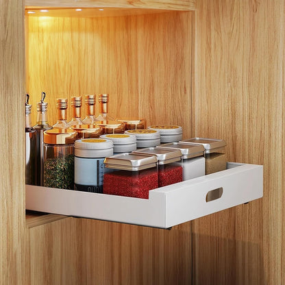 2 Pack Pull Out Cabinet Organizer Adhesive, 10" Wide 16.9" Deep Pull out Drawers for Face Frame or Frameless Cabinets, No Drill Heavy Duty Carbon Steel Drawer, Pantry Cabinet Shelf