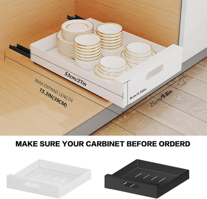 2 Pack Pull Out Cabinet Organizer Adhesive, 10" Wide 16.9" Deep Pull out Drawers for Face Frame or Frameless Cabinets, No Drill Heavy Duty Carbon Steel Drawer, Pantry Cabinet Shelf