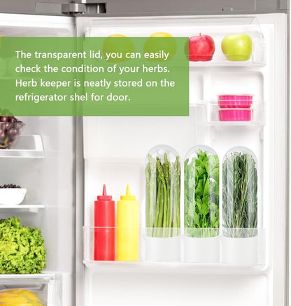 Herb Saver for Refrigerator With Herb Stem Stripping Tool,Herb Keeper & Cilantro Container,Vegetable Preservation Bottle for Cilantro,Parsley,Mint,Keeps Greens for 2-3 Weeks