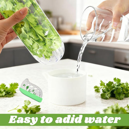 Herb Saver for Refrigerator With Herb Stem Stripping Tool,Herb Keeper & Cilantro Container,Vegetable Preservation Bottle for Cilantro,Parsley,Mint,Keeps Greens for 2-3 Weeks