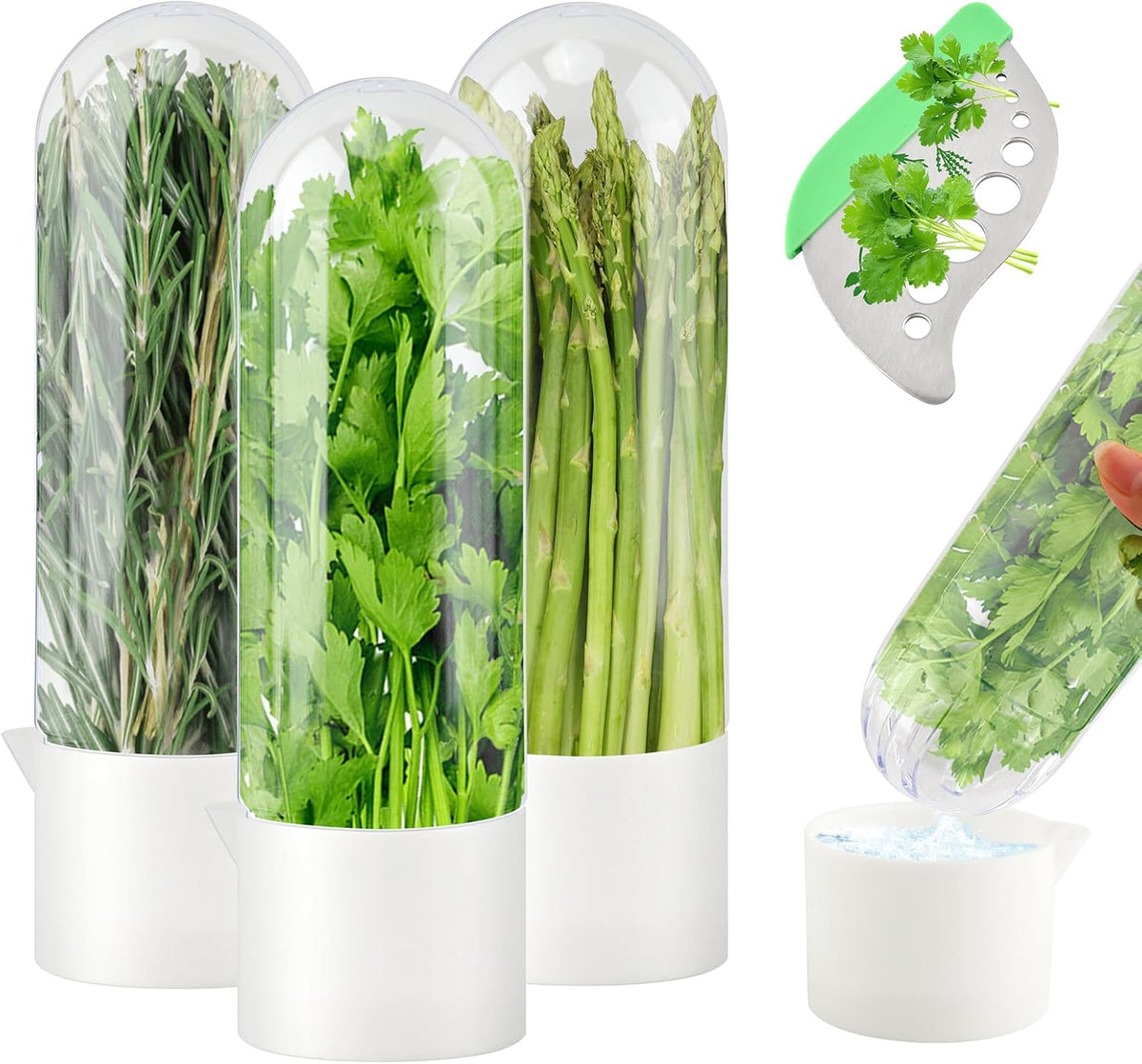 Herb Saver for Refrigerator With Herb Stem Stripping Tool,Herb Keeper & Cilantro Container,Vegetable Preservation Bottle for Cilantro,Parsley,Mint,Keeps Greens for 2-3 Weeks