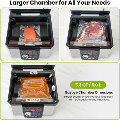 95kPa Precision Vacuum Sealer Machine, Double Heat Seal for Dry/Moist Food, Easy-Lock Handle, Built-in Bag Storage & Cutter, Progress Display, Pulse Mode, Removable Drip Tray, Silver