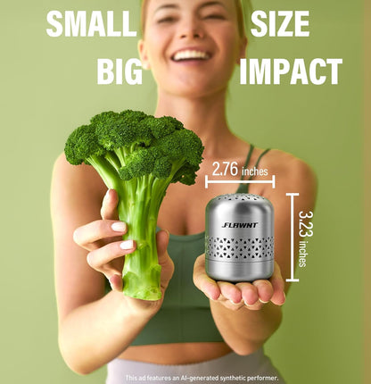Fridge Deodorizer, Lasts Up to 10 Years, Stainless Steel, Gray