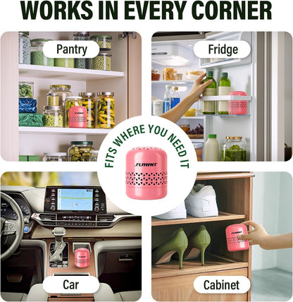 Fridge Deodorizer, Lasts Up to 10 Years, Stainless Steel, Gray