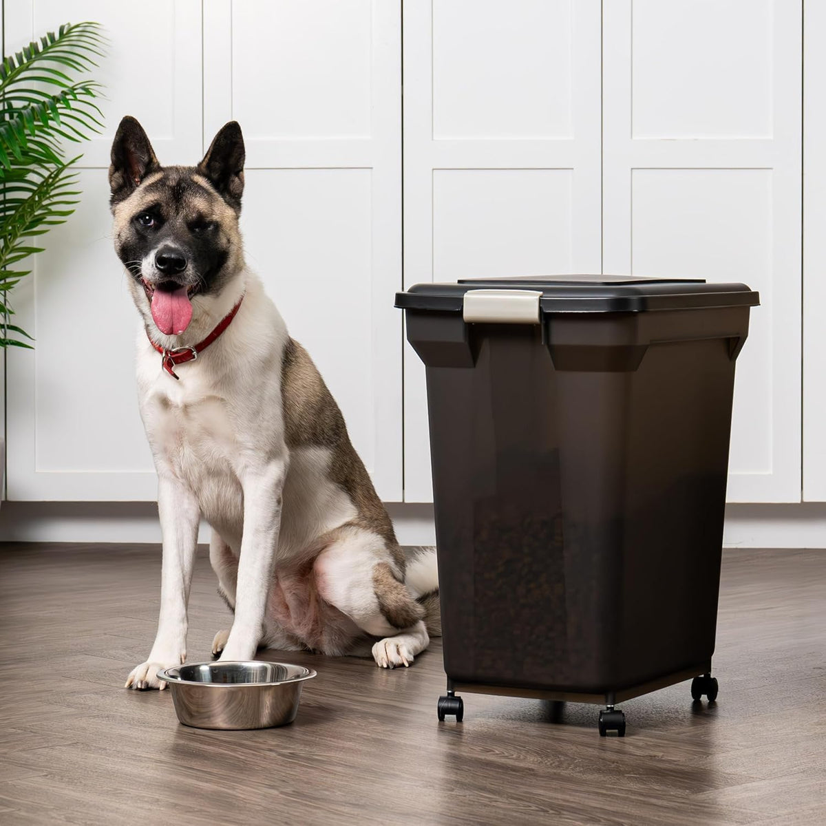 Dog Food Storage Container, Up to 58 lbs, Smoke Black, Made in USA | Wheels for Mobility, Airtight Seal, BPA-Free, Best for Bird Seed, Cat food, Cat Litter, Chicken Feed, Pellets