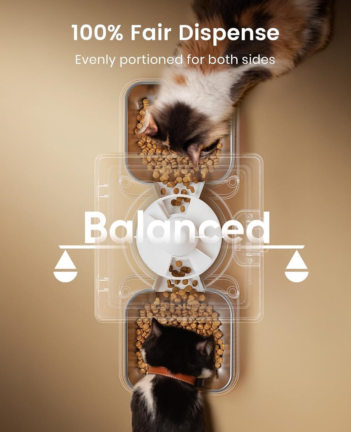 5G WiFi Automatic Cat Feeder for 2 Cats, App Control, 20 Cups/5L