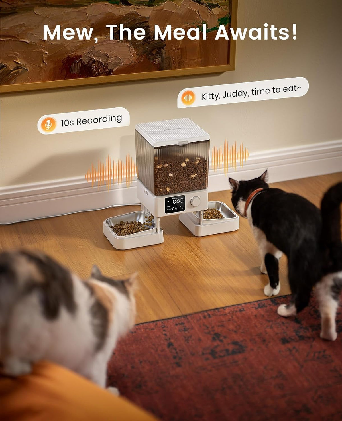 5G WiFi Automatic Cat Feeder for 2 Cats, App Control, 20 Cups/5L