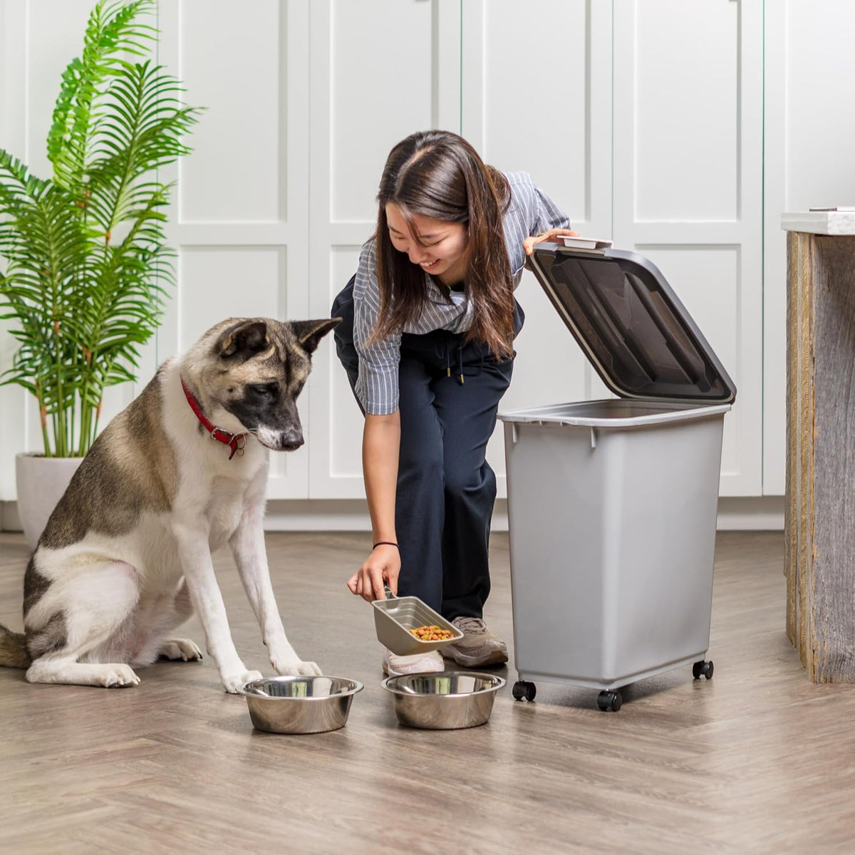 Dog Food Storage Container, Up to 30 lbs, Gray/Dark Gray | Made in the USA, Comes w/ Wheels & 2-Cup Scoop, Airtight Seal, BPA-Free, Kibbles, Bird Seed, Cat food, Cat Litter, Pellets