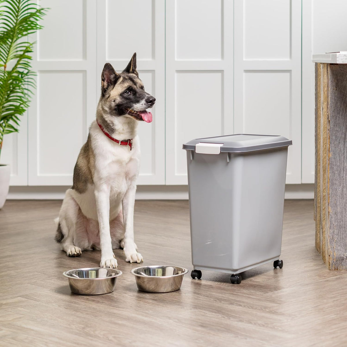 Dog Food Storage Container, Up to 30 lbs, Gray/Dark Gray | Made in the USA, Comes w/ Wheels & 2-Cup Scoop, Airtight Seal, BPA-Free, Kibbles, Bird Seed, Cat food, Cat Litter, Pellets