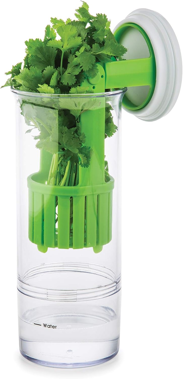 PrepSolutions Fresh Herb Keeper, Airtight Storage Container for Herbs, Keeps Herbs Fresh Longer