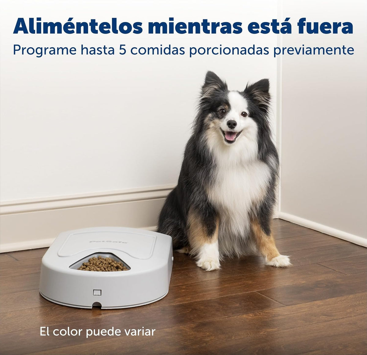 Automatic Dog Feeder, 5 Meals, 40 oz Capacity, Plastic, for Dry Food, Multiple Pets