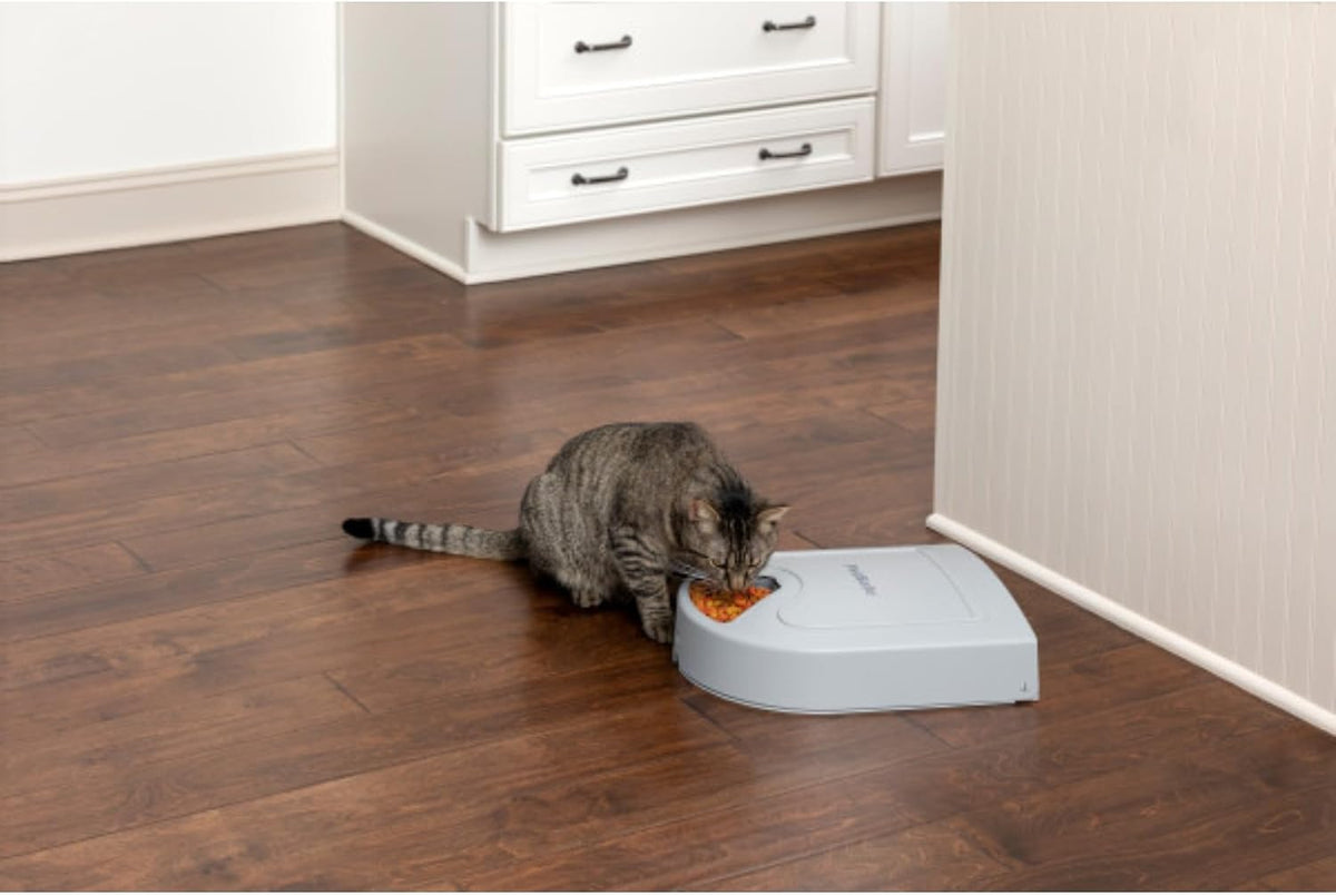 Automatic Dog Feeder, 5 Meals, 40 oz Capacity, Plastic, for Dry Food, Multiple Pets