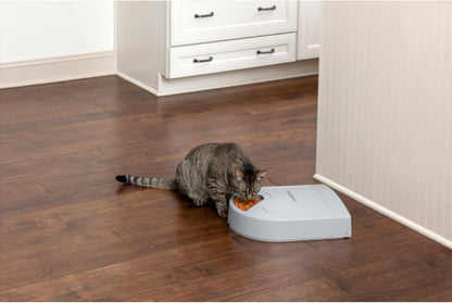 Automatic Dog Feeder, 5 Meals, 40 oz Capacity, Plastic, for Dry Food, Multiple Pets