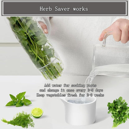 Herb Saver, Herb Keeper for Refrigerator, Cilantro Container for Fridge, Fresh Herbs Lettuce Vegetable Preservation Bottle Keeper Parsley Mint Refrigerator Storage for Fresh for 2-3 Weeks