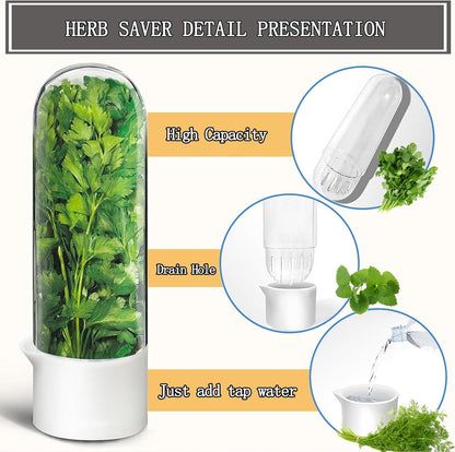 Herb Saver, Herb Keeper for Refrigerator, Cilantro Container for Fridge, Fresh Herbs Lettuce Vegetable Preservation Bottle Keeper Parsley Mint Refrigerator Storage for Fresh for 2-3 Weeks