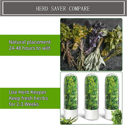 Herb Saver, Herb Keeper for Refrigerator, Cilantro Container for Fridge, Fresh Herbs Lettuce Vegetable Preservation Bottle Keeper Parsley Mint Refrigerator Storage for Fresh for 2-3 Weeks