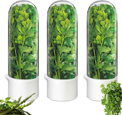 Herb Saver, Herb Keeper for Refrigerator, Cilantro Container for Fridge, Fresh Herbs Lettuce Vegetable Preservation Bottle Keeper Parsley Mint Refrigerator Storage for Fresh for 2-3 Weeks