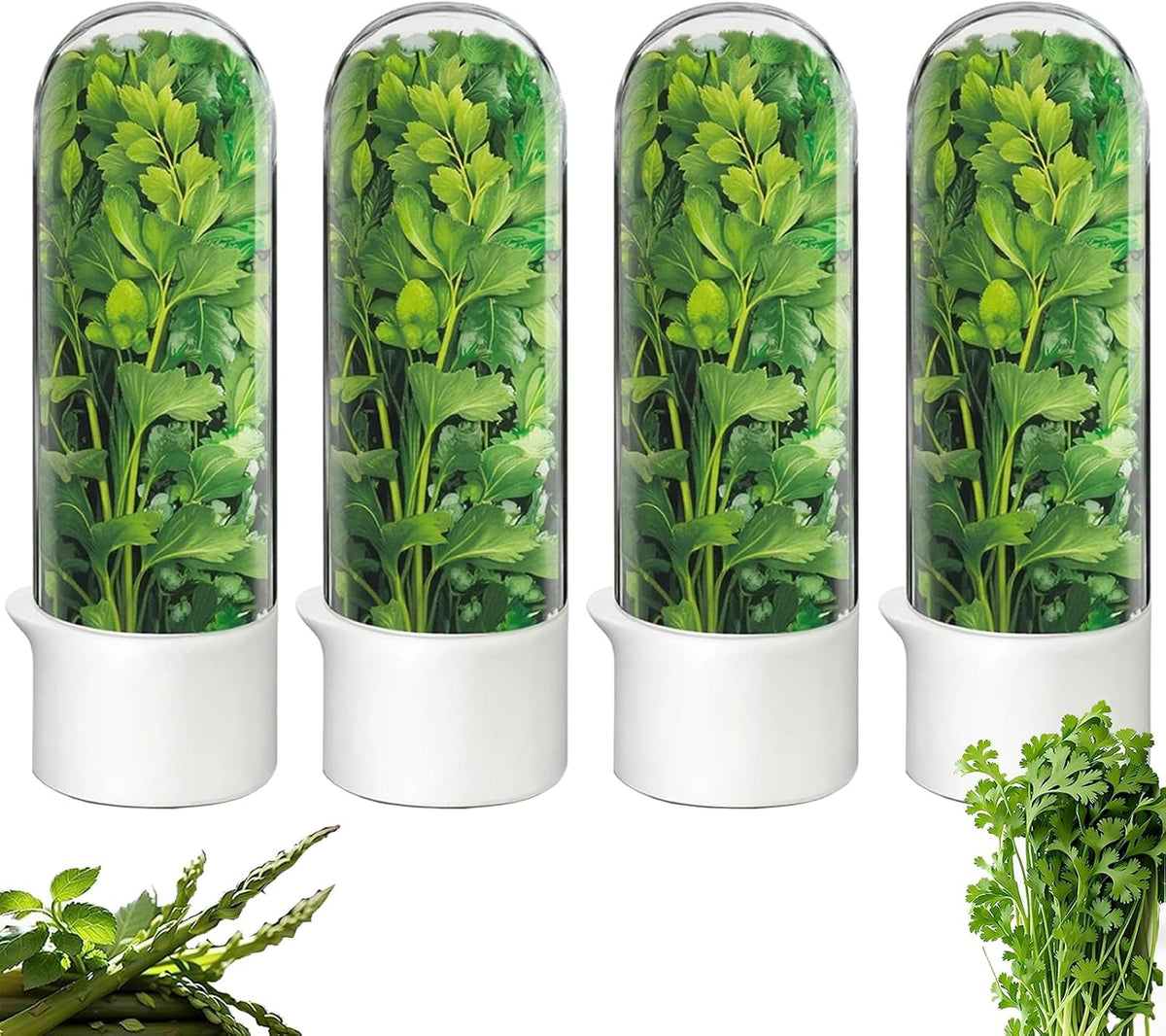 Herb Saver, Herb Keeper for Refrigerator, Cilantro Container for Fridge, Fresh Herbs Lettuce Vegetable Preservation Bottle Keeper Parsley Mint Refrigerator Storage for Fresh for 2-3 Weeks